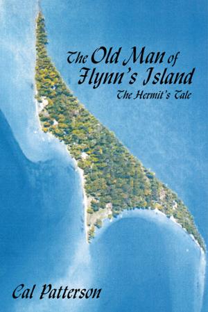 Cover of the book The Old Man of Flynn's Island by Steven Hammond