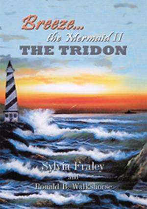 Cover of the book Breeze the Mermaid Ii by D.S. Sully