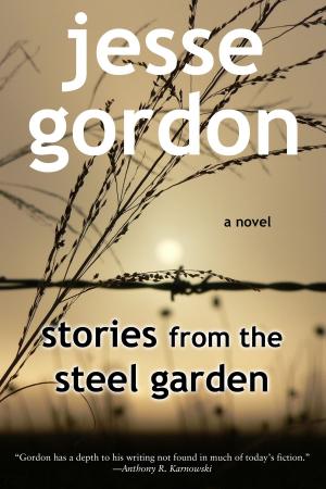 Cover of the book Stories from the Steel Garden by umar shehzad