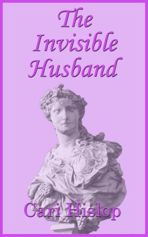 Book cover of The Invisible Husband