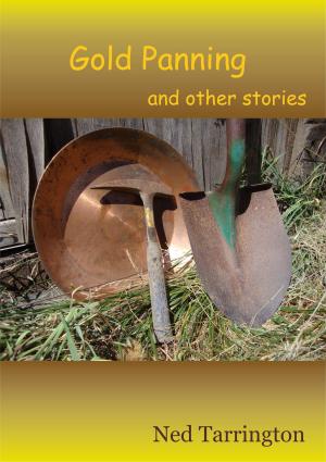 Book cover of Gold Panning and Other Stories
