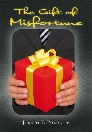 Cover of the book The Gift of Misfortune by Bernard Botes Kruger