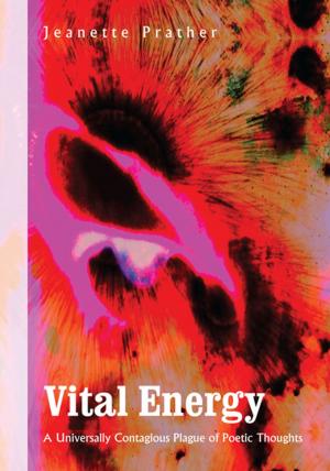 Cover of the book Vital Energy by Douglas V. Maurer