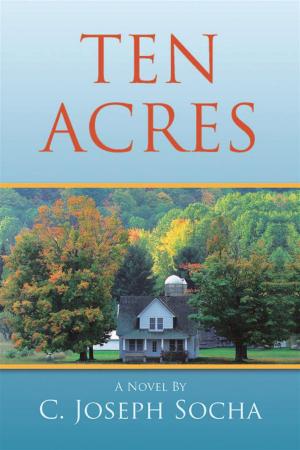 Book cover of Ten Acres