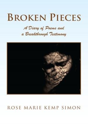 Cover of the book Broken Pieces by L.K. Hill