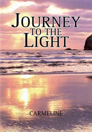 Cover of the book Journey to the Light by C. Truett Baker