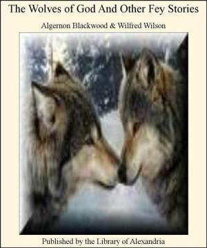 Cover of the book The Wolves of God and Other Fey Stories by Edward Phillips Oppenheim
