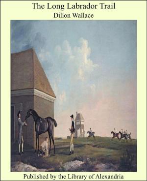 Cover of the book The Long Labrador Trail by James Oliver Curwood
