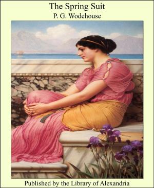 Cover of the book The Spring Suit by Margaret Fuller
