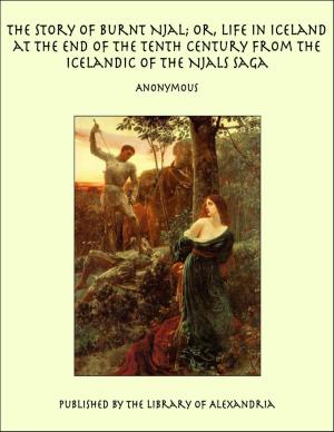 Cover of the book The Story of Burnt Njal; or, Life in Iceland at the End of the Tenth Century From the Icelandic of the Njals Saga by James Darmesteter