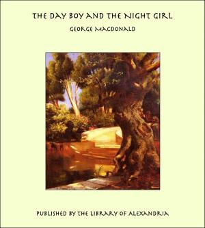 Book cover of The Day Boy and the Night Girl