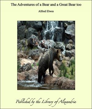 Cover of the book The Adventures of a Bear and a Great Bear too by Various Authors
