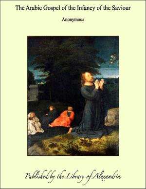 Cover of the book The Arabic Gospel of the Infancy of the Saviour by John Ashton