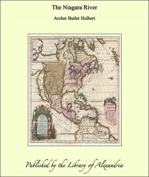 Cover of the book The Niagara River by Arthur Machen