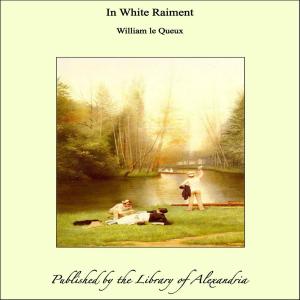 Cover of the book In White Raiment by Richard Austin Freeman
