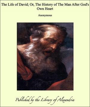 Cover of the book The Life of David; Or, The History of The Man After God's Own Heart by Henry Fairfield Osborn