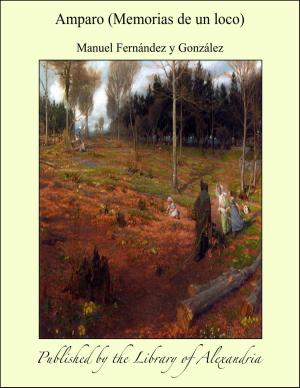 Cover of the book Amparo (Memorias de un loco) by George Manville Fenn