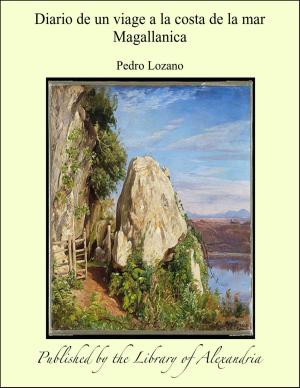 Cover of the book Diario de un viage a la costa de la mar Magallanica by James E. Gibson