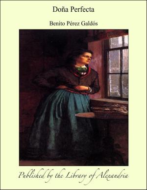 Cover of the book Doña Perfecta by José Maria Eça de Queirós