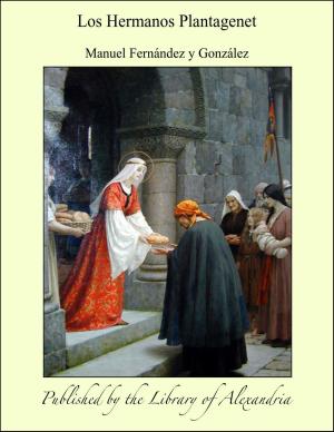 Cover of the book Los Hermanos Plantagenet by Manuel Eduardo de Gorostiza