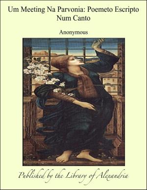 Cover of the book Um Meeting Na Parvonia: Poemeto Escripto Num Canto by Hugo Paul Thieme