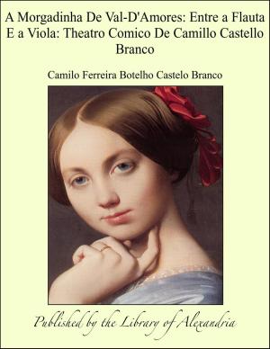 Book cover of A Morgadinha De Val-D'Amores: Entre a Flauta E a Viola: Theatro Comico De Camillo Castello Branco
