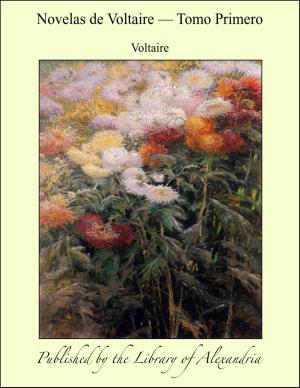 bigCover of the book Novelas de Voltaire — Tomo Primero by 