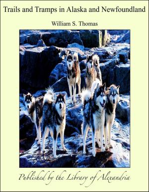 Cover of the book Trails and Tramps in Alaska and Newfoundland by Kurt Tucholsky