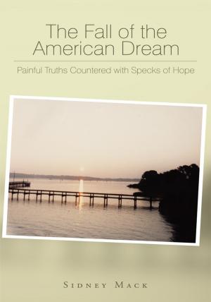 Cover of the book The Fall of the American Dream by Alan De Wolfe