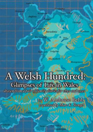 Cover of the book A Welsh Hundred by Claudette Cruz