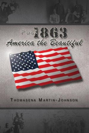 Cover of the book Post 1863 America the Beautiful by Verena Berger