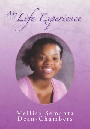 Cover of the book My Life Experience by Joyce Elaine Wiggin-Robbins