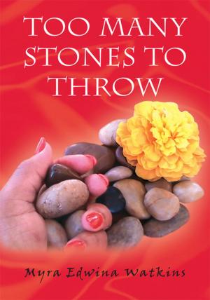 Book cover of Too Many Stones to Throw
