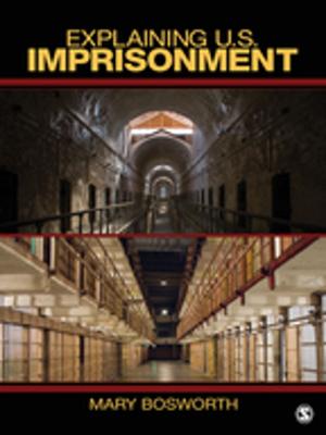 Book cover of Explaining U.S. Imprisonment
