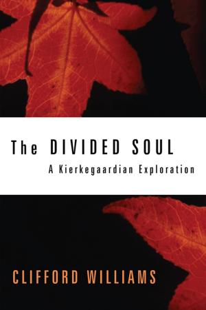 Book cover of The Divided Soul