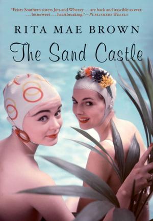 Book cover of The Sand Castle