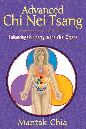 Cover of the book Advanced Chi Nei Tsang by Joel Schwartz