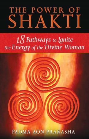 Book cover of The Power of Shakti