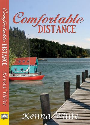 Cover of the book Comfortable Distance by E. J. Noyes