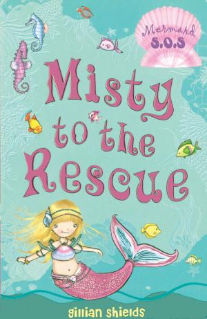 Book cover of Misty to the Rescue