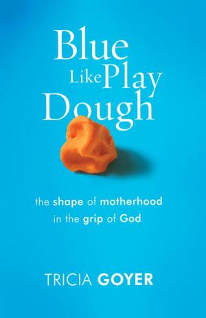 Book cover of Blue Like Play Dough