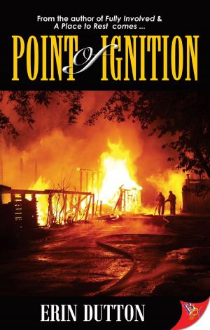 Cover of the book Point of Ignition by Alon Shalev