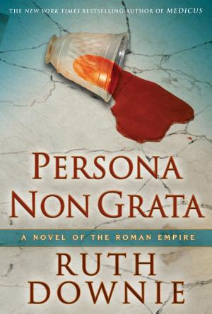 Cover of the book Persona Non Grata by Mr Jack Lagan