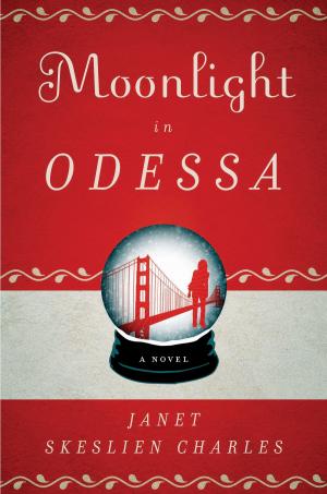 bigCover of the book Moonlight in Odessa by 