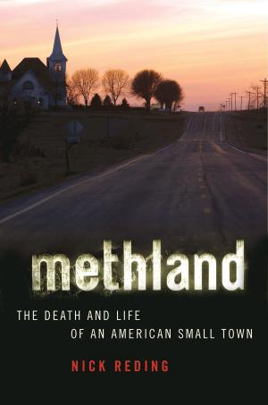 Cover of the book Methland by Alicia Aldrete, Professor Gregory S. Aldrete