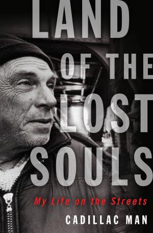 Cover of the book Land of the Lost Souls by Ms Gillian Shields