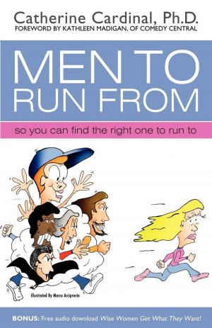 Cover of the book Men to Run from by Emily Wanderer Cohen
