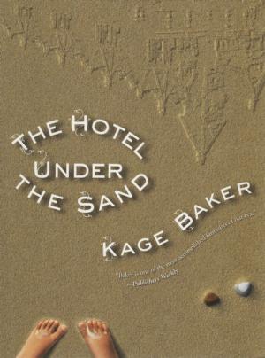 Book cover of The Hotel Under the Sand