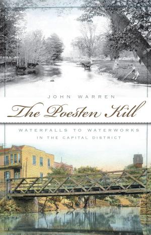Cover of the book The Poesten Kill: Waterfalls to Waterworks in the Capital District by Barry Moreno