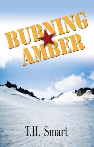 bigCover of the book BURNING AMBER by 